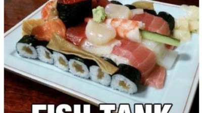 Looks delicious~ it's kind of Omakase???